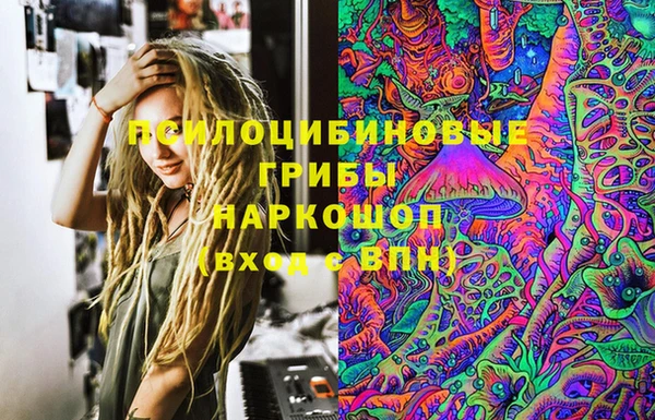 гидропоника Кукмор