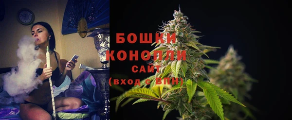 прущие грибы Медвежьегорск