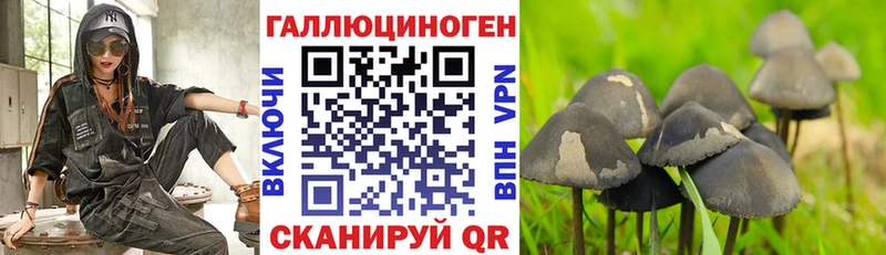 Галлюциногенные грибы GOLDEN TEACHER  Нюрба 